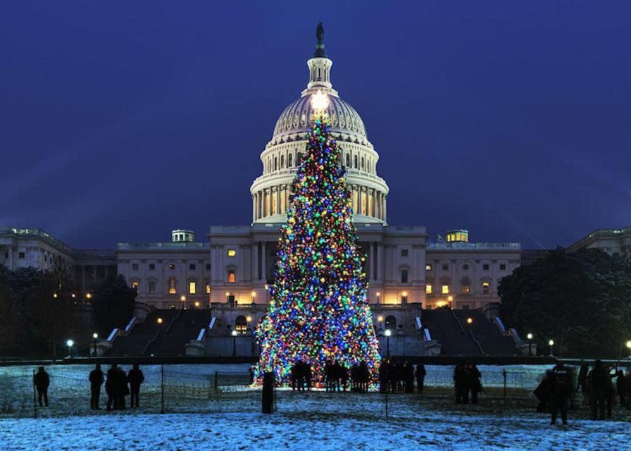 Washington, DC: National Mall and Memorials Moonlight Tour - Comfort and guide style: the difference between good and great