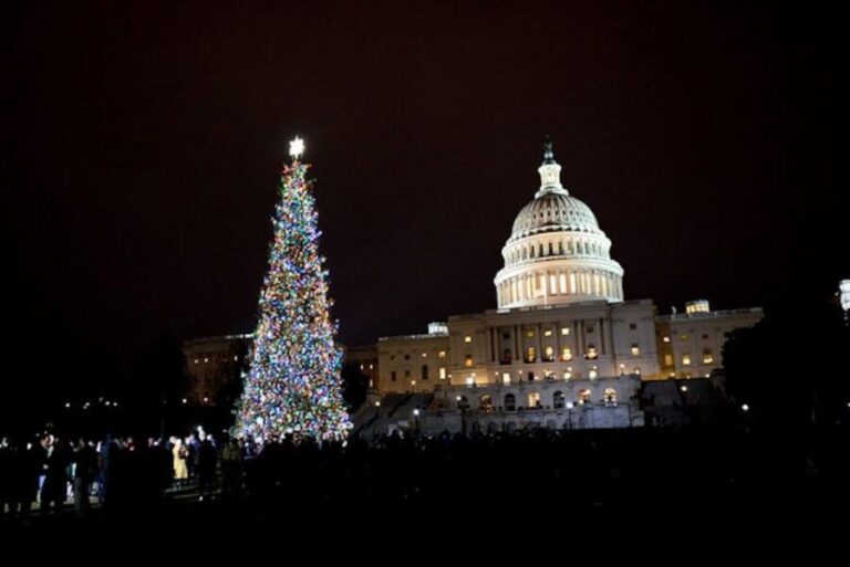 Washington, DC: National Mall and Memorials Moonlight Tour - Timing the night: when to arrive and how the tour flows