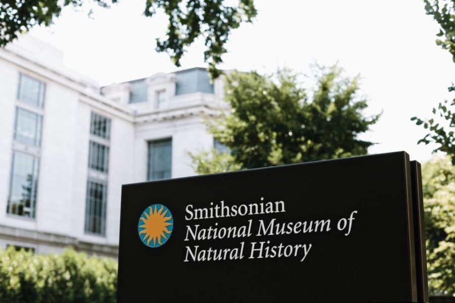 Washington DC: National Museum of Natural History Tour - Meeting up and getting through security without losing your morning