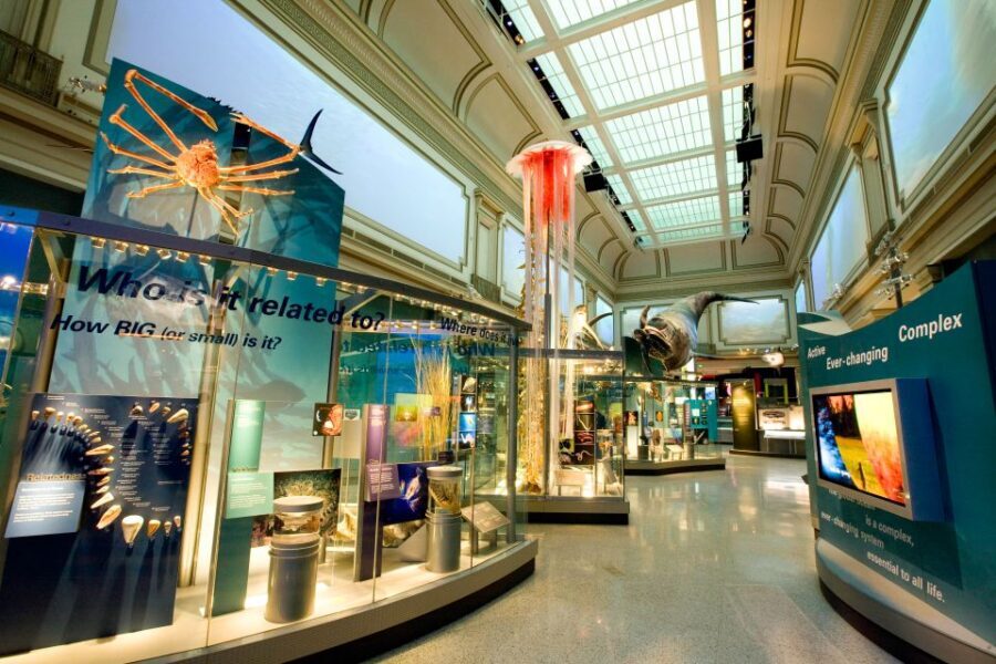 Washington DC: National Museum of Natural History Tour - Dom Pedro Aquamarine and Star of Asia Sapphire: seeing geology as a story