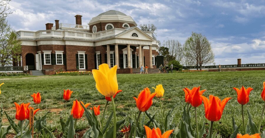 Washington DC:Small Group Thomas Jefferson Monticello Tour - Small group comfort: what changes when you travel with 14 people max