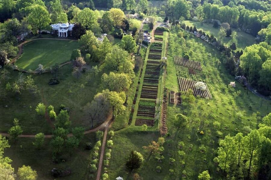Washington DC:Small Group Thomas Jefferson Monticello Tour - Value check: what $168 gets you, and why the options matter